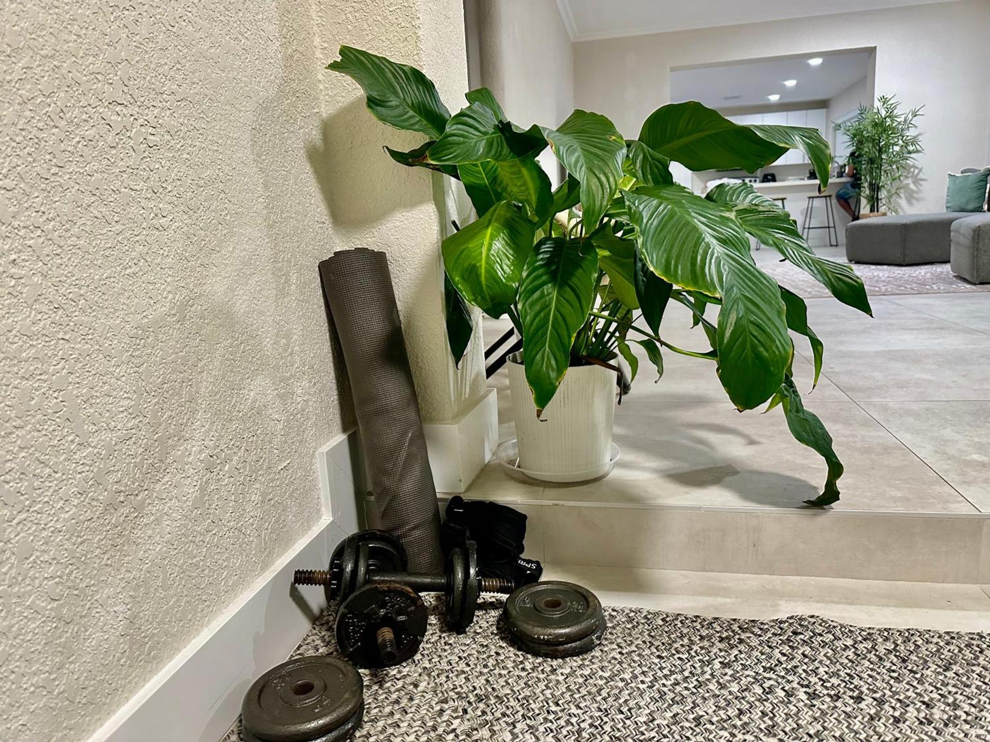 World Connect Miami Hostel Luaran gambar